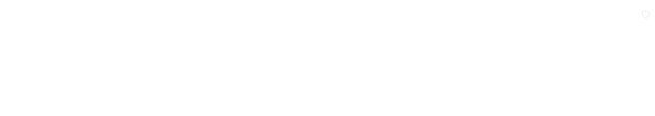 Vuzix